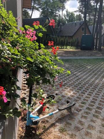 Фото номера Дом для отпуска Дома для отпуска Domek na Leśnej г. Погожелица 79